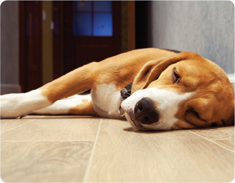 Thru-Floor Underfloor Heating Graphic